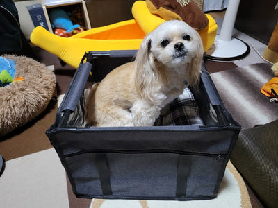 Foto de Lucia V.