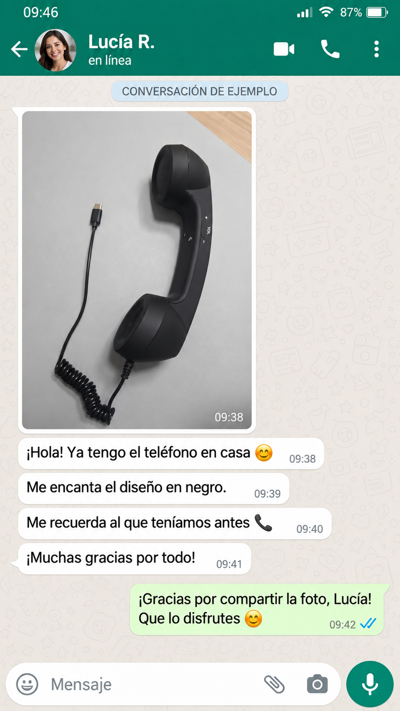 retro-r1-lucia.png